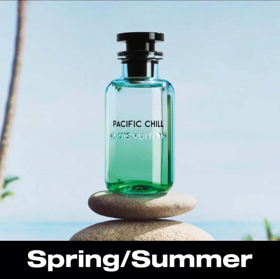 Spring/Summer